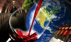 DouxVin 2020 Taste of the World Reds